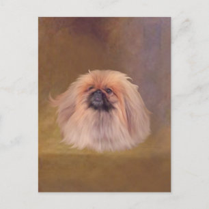 Söt Pekingese Vykort