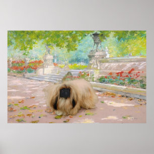 Söt Pekingeser i blomsterarrangemang Poster