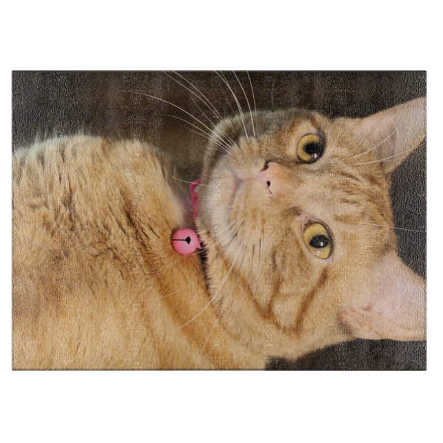 Söt Penny (Framsidan)