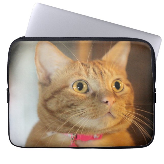 Söt Penny Laptop Fodral (Framsidan)