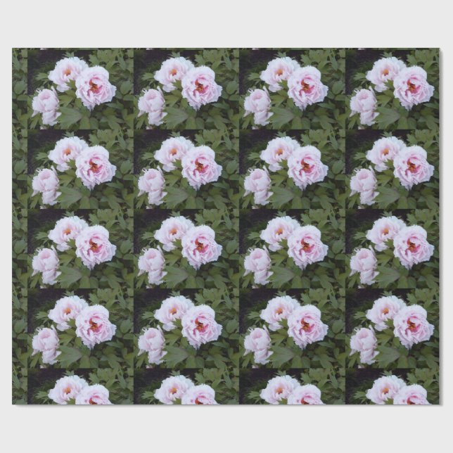 Söt Peonies Wrapping Papper Presentpapper (Platt)