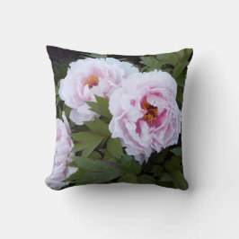 Söt Peony Dekorativ kudde