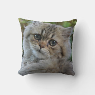 Söt Persian Kitten Kudde