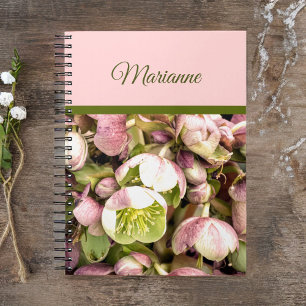 Söt Personlig Rosa och Olive Hellebore Anteckningsbok