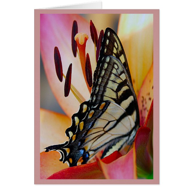 Söt Petals Hälsningskort (Framsidan)