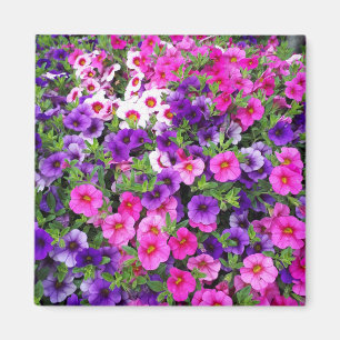 Söt Petunias Magnet
