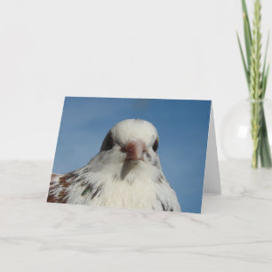 Söt Pigeon Kort