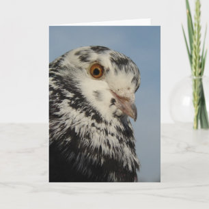Söt Pigeon Kort