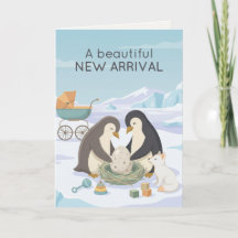 Söt Pingvin Ny Bebis | Vacker Ny Bebis