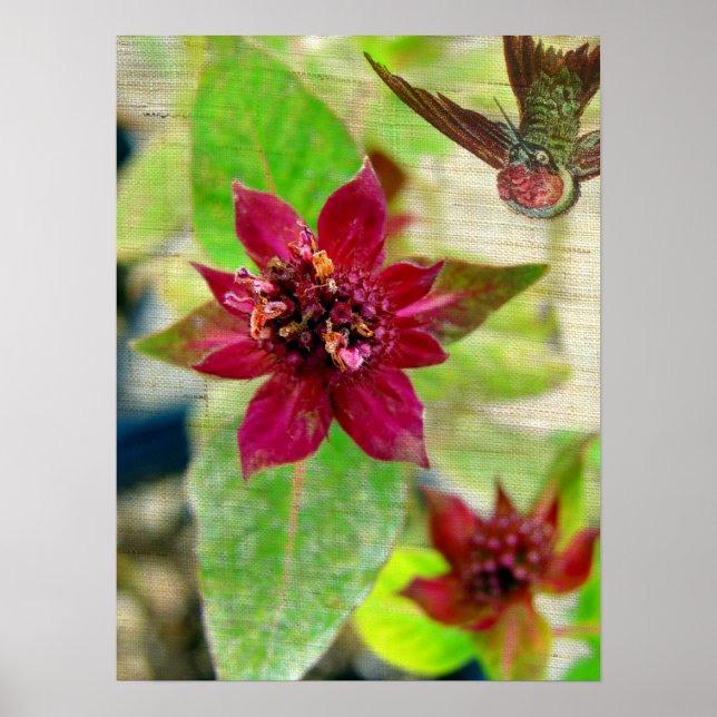 Söt Plant 2 Poster (Framsidan)