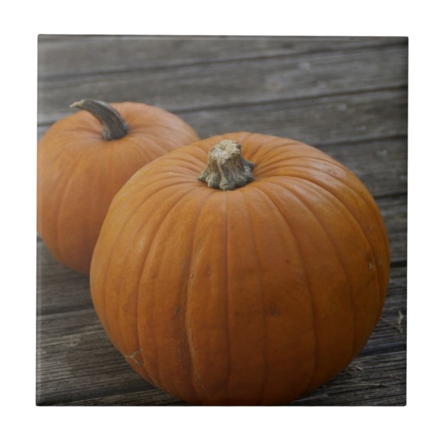 Söt Plump Pumpkins Kakelplatta (Framsidan)
