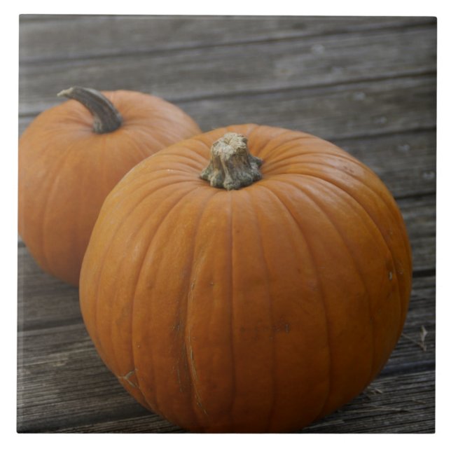 Söt Plump Pumpkins Kakelplatta (Framsidan)