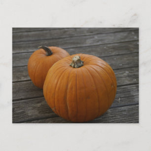Söt Plump Pumpkins-vykort Vykort