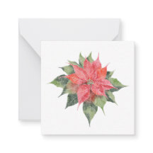 Söt Poinsettia