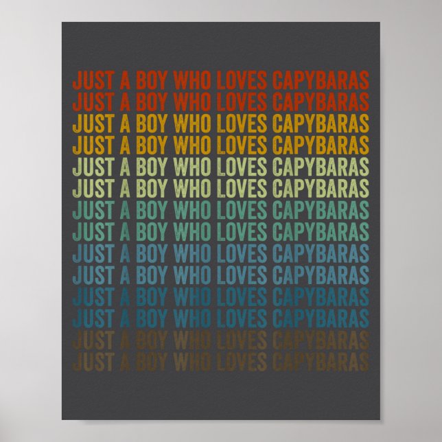 Söt Pojke Älskar Kapybaror Kapybara Poster (Framsidan)