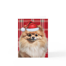 Söt pomerianer jultomte hund röd-vit rutig