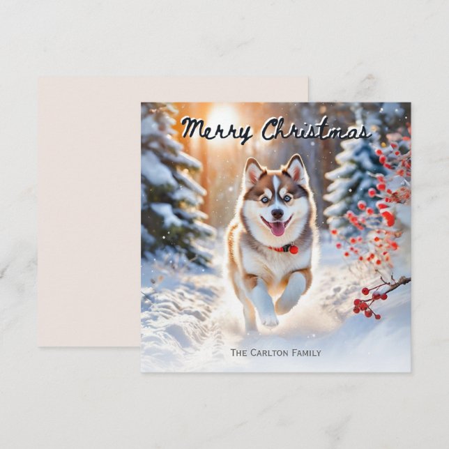 Söt Pomsky-hund i snö Julmerry Christmas Julkort (Fram/baksida)