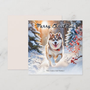 Söt Pomsky-hund i snö Julmerry Christmas Julkort