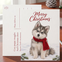 Söt Pomsky-valp Hundälskare Jul