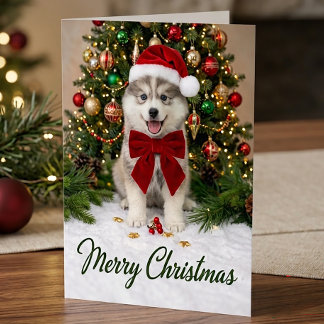 Söt Pomsky-valp Hundälskare Santa Hatt Jul Kort