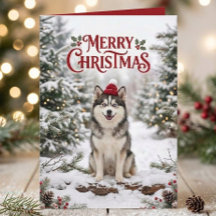 Söt Pomsky-valp Husky Hundälskare Jul
