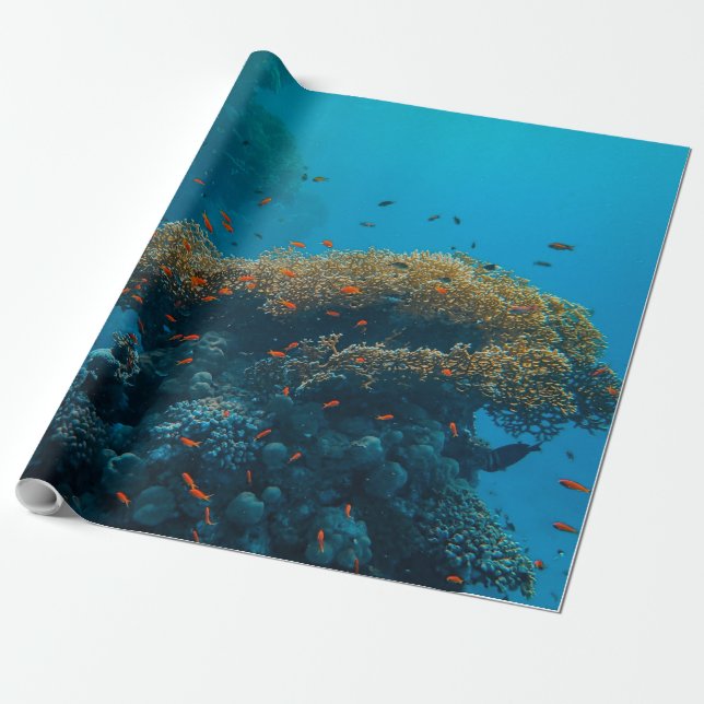 Söt Presentpapper (Utrullad)