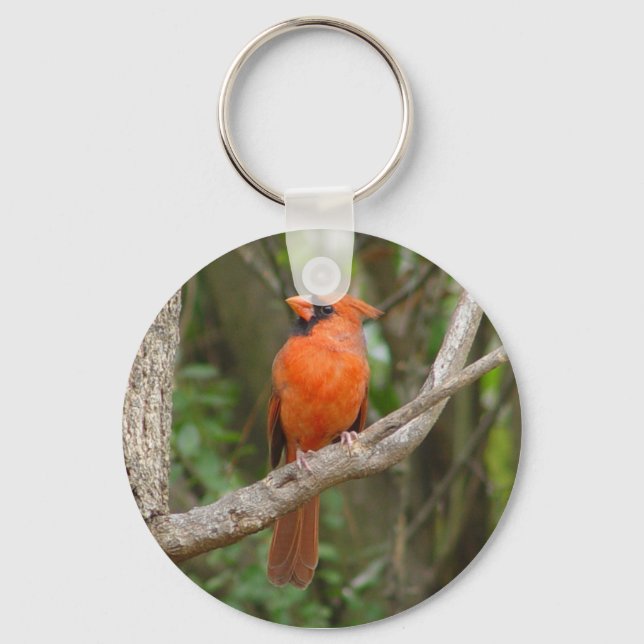 Söt Profile Northern Kardinal Bird Keychain Nyckelring (Framsida)