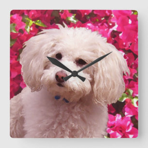 Söt Pudel Fyrkantig Klocka
