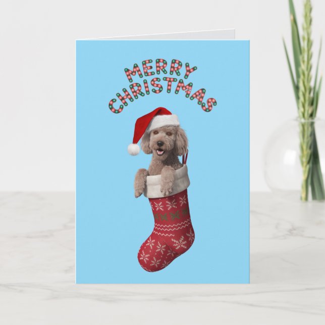 Söt Pudel Julkort Kort (Framsida)