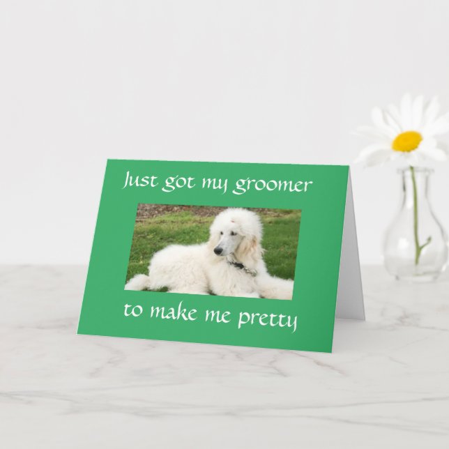 SÖT "PUDEL" SAYS "GRATTIS PÅ FÖDELSEDAGEN"-KORT KORT (Liten växt)