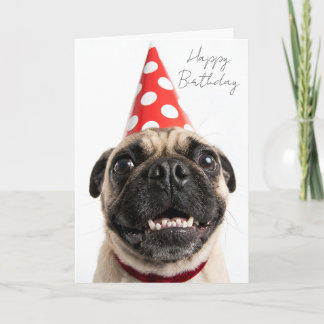 Söt Pug med röd födelsedagsfesthatt Kort