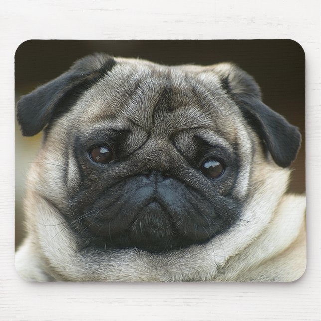 Söt Pug Valp Hund Musmatta (Framsidan)