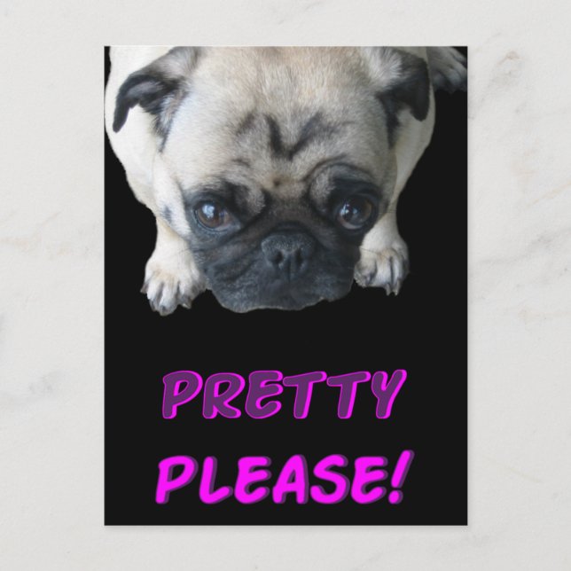 Söt Pug Vykort (Framsida)