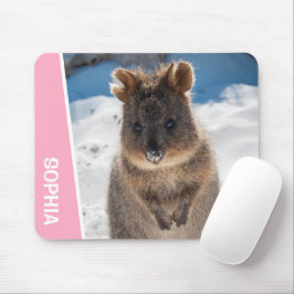 Söt Quokka-djur på stranden Australien Rosa Musmatta