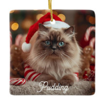 Söt Ragdoll Katt Jul Magi Personlig