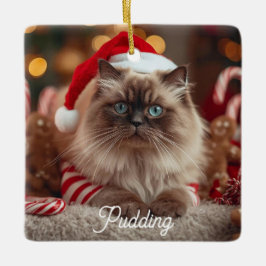 Söt Ragdoll Katt Jul Magi Personlig Julgransprydnad Keramik
