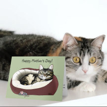 Söt randig katt grön mors dag