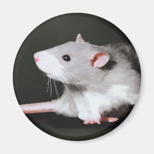 Söt råttmålning magnet (Framsidan)