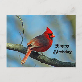 Söt Red Cardinal Photo Birthday Vykort
