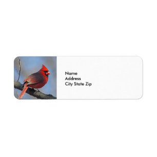 Söt Red Cardinal Photo Returadress Etikett