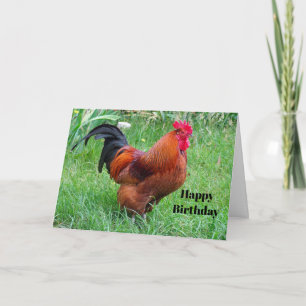 Söt Red Chicken Profile Photo Birthday Kort