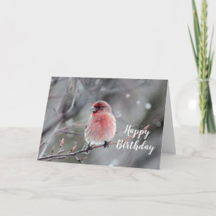 Söt Red Finch Photo Birthday Kort