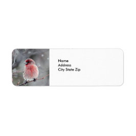 Söt Red Finch Photo Returadress Etikett