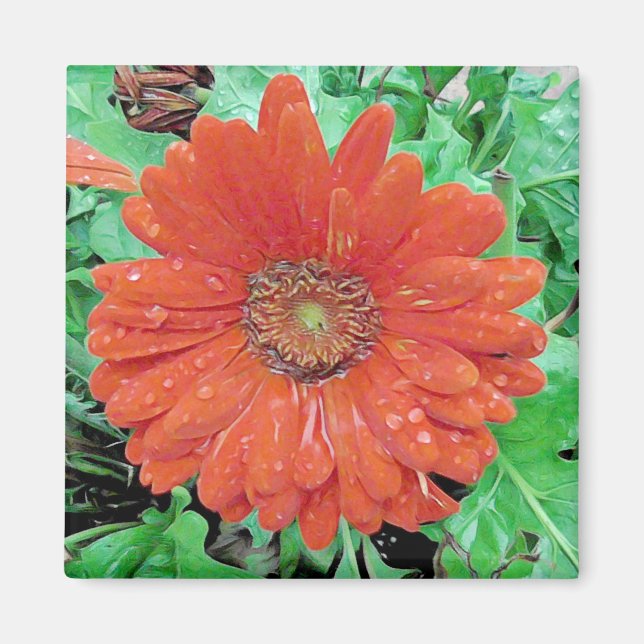 Söt Red Flower med regndroppar Magnet (Framsidan)