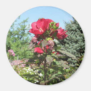 Söt Red Flowers of the Midwest Photo Magnet