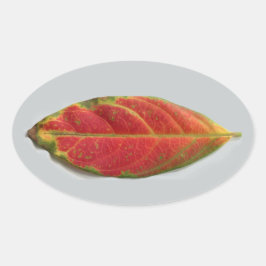 Söt Red Löv oval dekal, sigillal, etikett