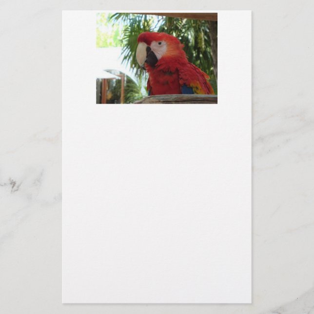 Söt Red Parrot Brevpapper (Framsida)