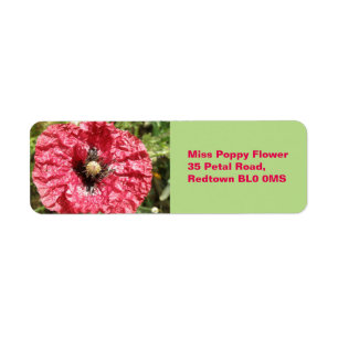 Söt Red Poppy Flower Macro Anpassningsbar Labels Returadress Etikett