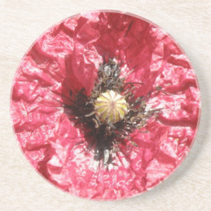 Söt Red Poppy Flower Macro Underlägg