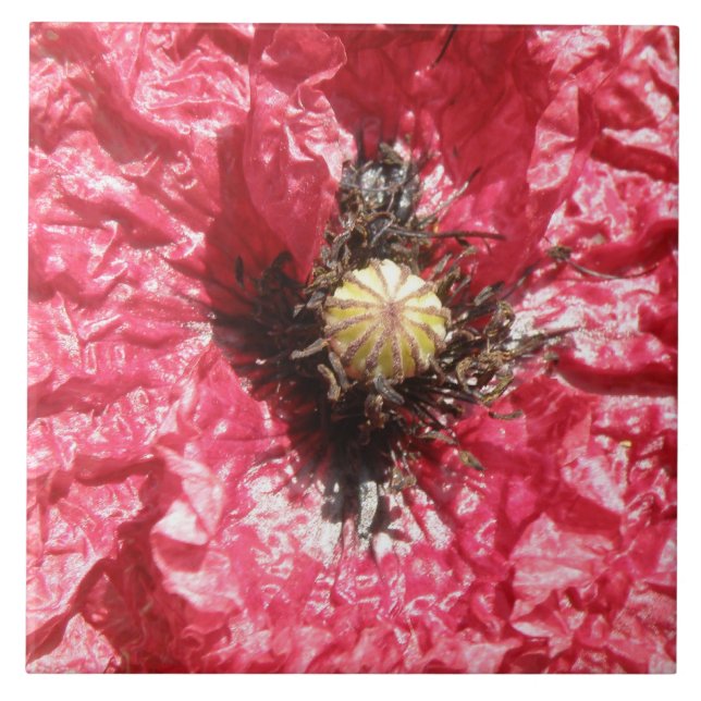 Söt Red Poppy Flower Makro Tile Kakelplatta (Framsidan)